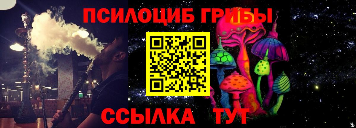 Менделеевск  Псилоцибиновые грибы прущие грибы  Вход с VPN 